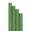 22 BARRAS DE LACRE MUSGO ALWAYS YOURS 100x100 - BARRAS LACRE PISTACHO