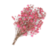 FLORES PRESERVADAS ALWAYS YOURS 01 e1675685099671 100x100 - RAMO LAVANDA PRESERVADA ROSA