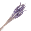 RAMO LAVANDA PRESERVADA