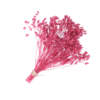 RAMO BROOM PRESERVADO FUCSIA