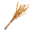 RAMO LAVANDA PRESERVADA NARANJA ALWAYS YOURS 01 scaled 100x100 - RAMO LAVANDA PRESERVADA FUCSIA