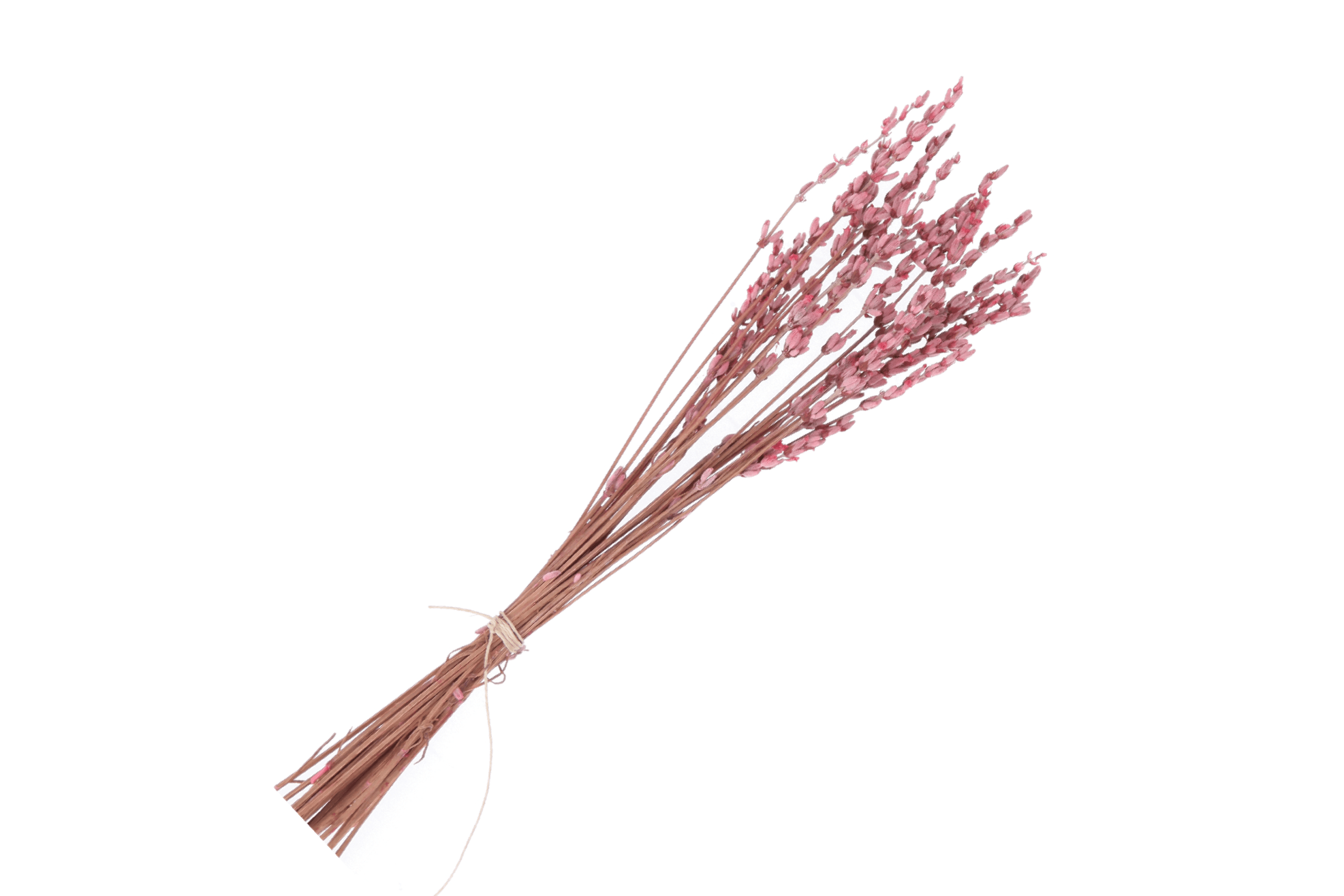 RAMO LAVANDA PRESERVADA ROSA