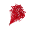RAMO BROOM PRESERVADO ROJO