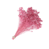 RAMO BROOM PRESERVADO ROSA
