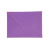 SA19 Uva wild grape scaled 100x100 - SOBRES ARTESANALES - 23 MORADO